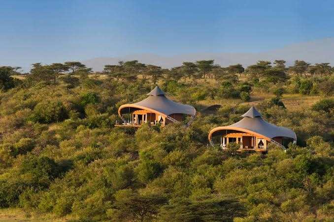 Sculpted eco lodge villas above the savannah treetops