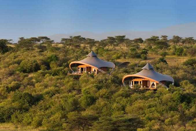 Sculpted eco lodge villas above the savannah treetops